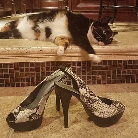 Shoes - Picture 5 of 7